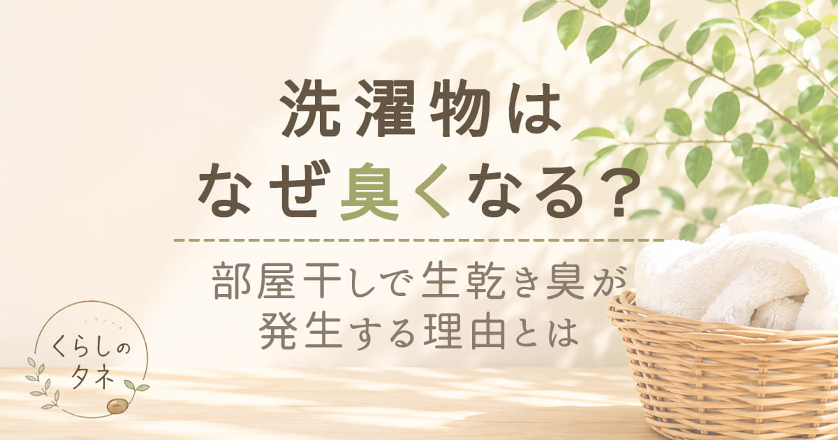 洗濯物　臭くなる　生乾き　部屋干し